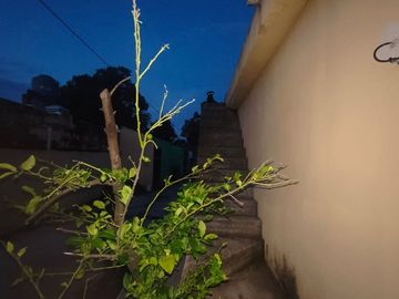place photo 31