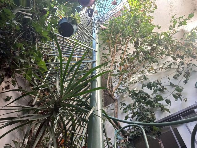 place photo 32