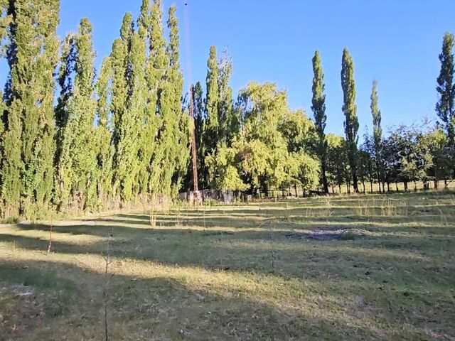 place photo 35
