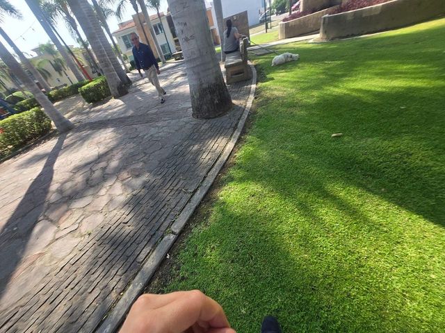 place photo 28