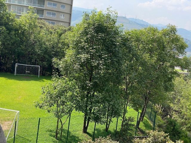 place photo 33