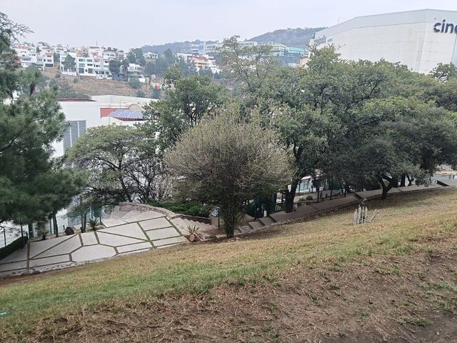 place photo 23