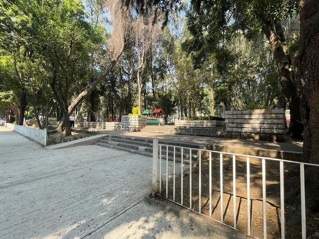 place photo 22