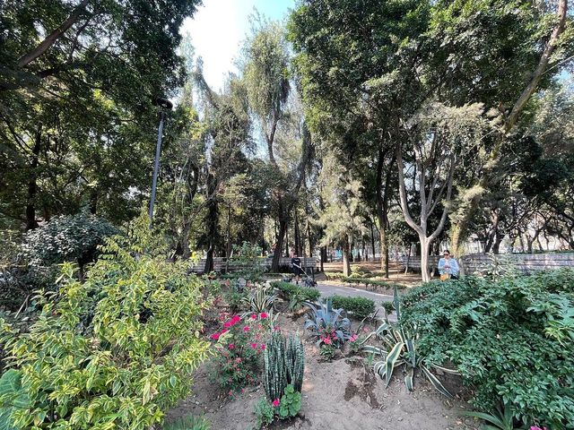 place photo 23