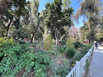 place photo 24