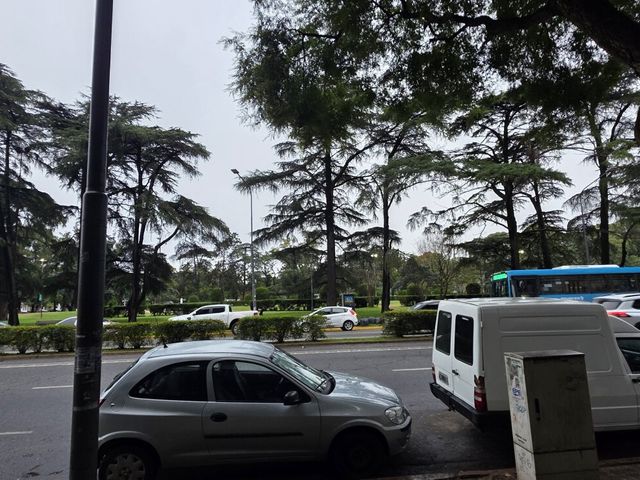 place photo 45