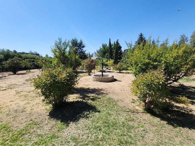 place photo 60