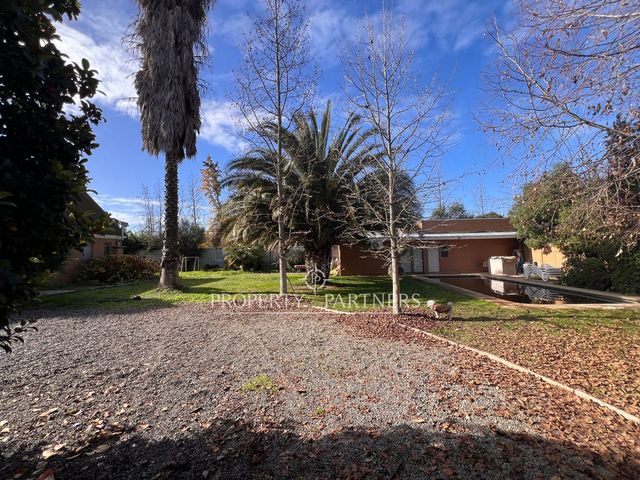 place photo 46