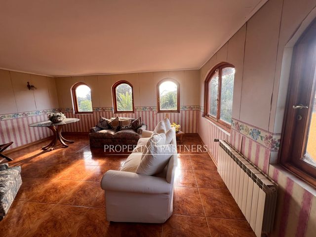 place photo 46