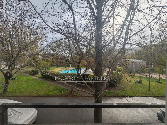 place photo 46