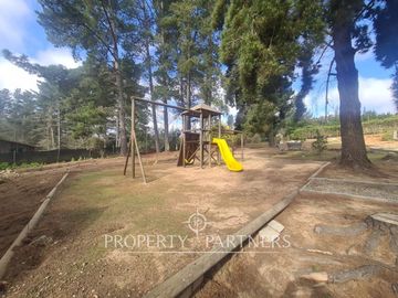 place photo 46