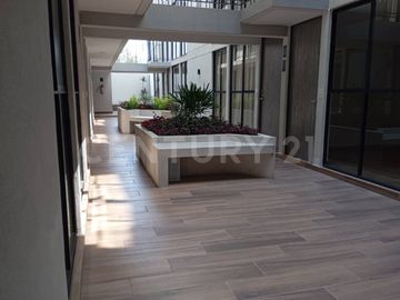 place photo 24