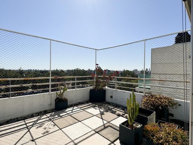 place photo 32