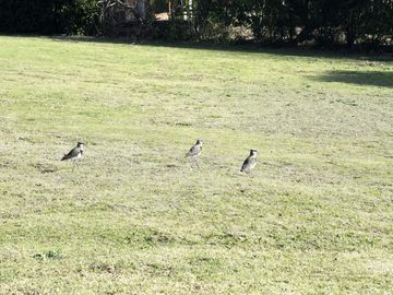 place photo 57
