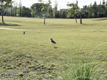 place photo 58