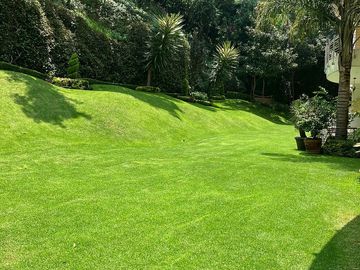 place photo 32