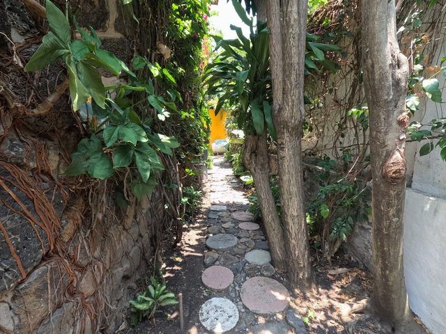 place photo 32