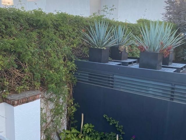 place photo 36