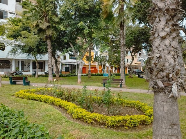 place photo 33