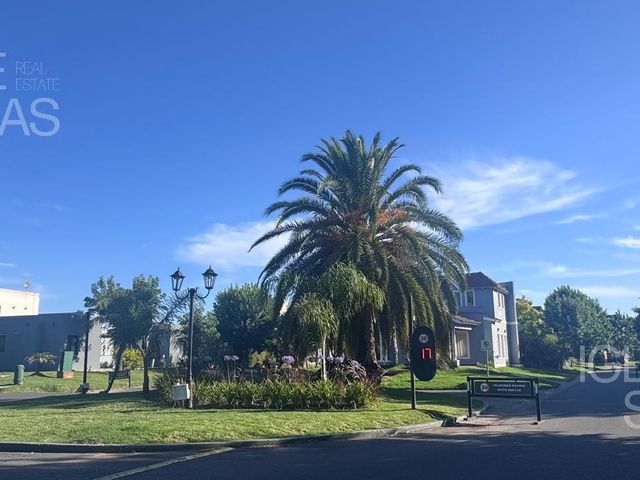 place photo 36