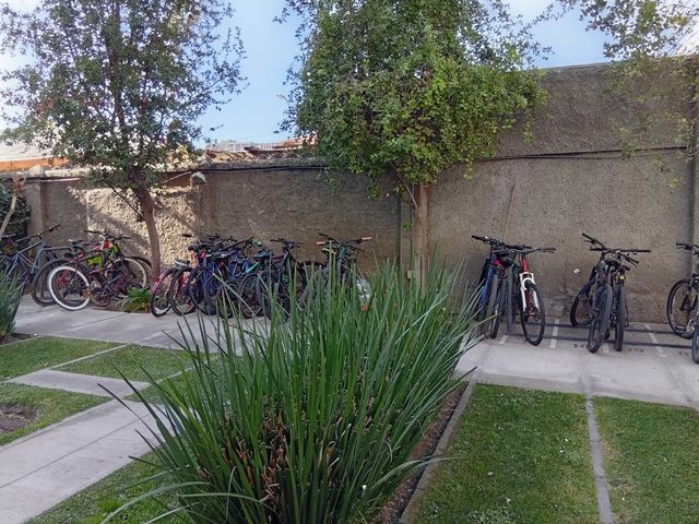 place photo 25