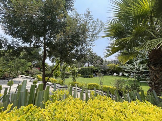 place photo 30