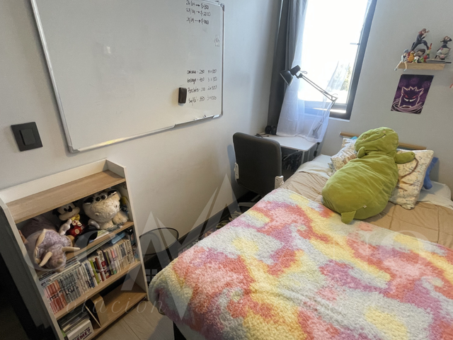 place photo 20