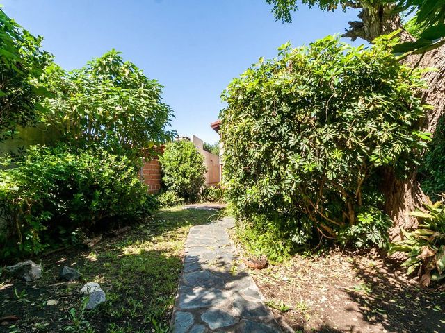 place photo 67