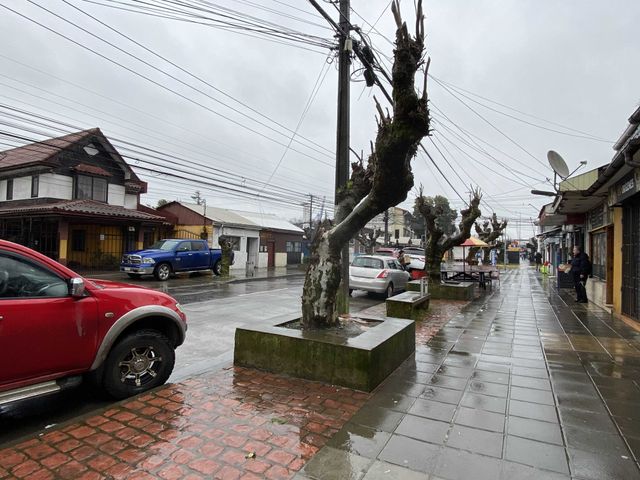 place photo 18
