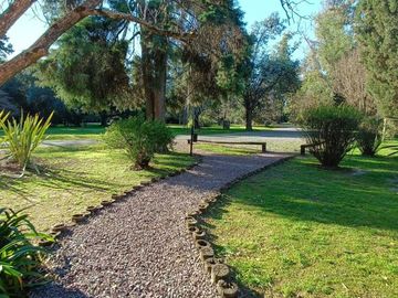 place photo 34