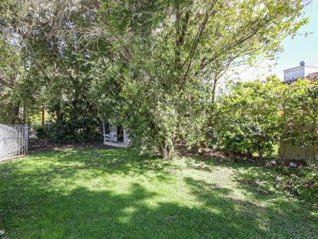 place photo 44