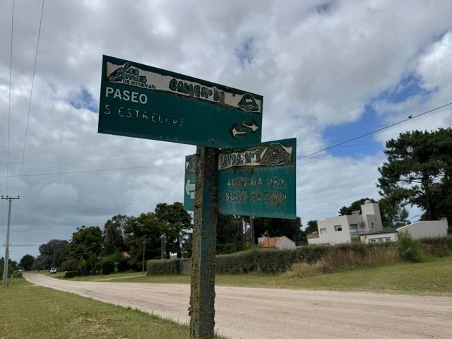 place photo 43