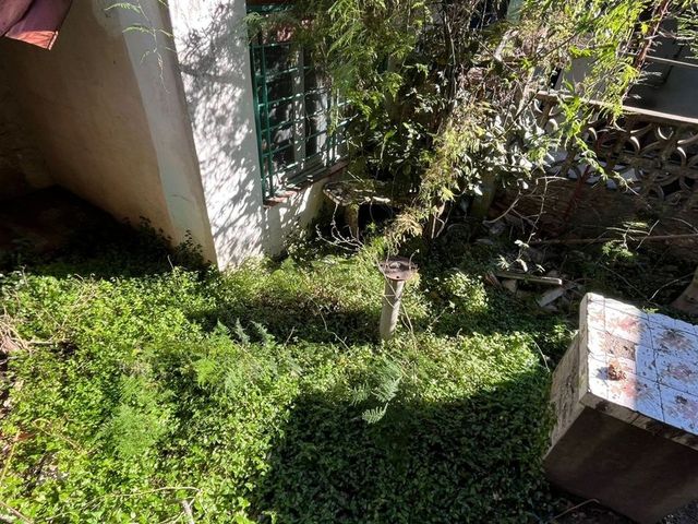 place photo 44