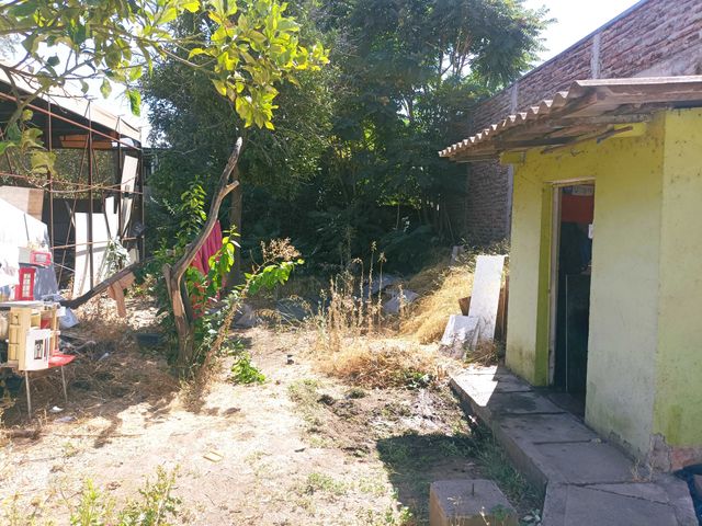 place photo 18