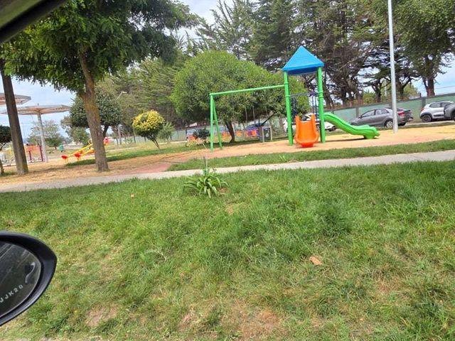 place photo 19
