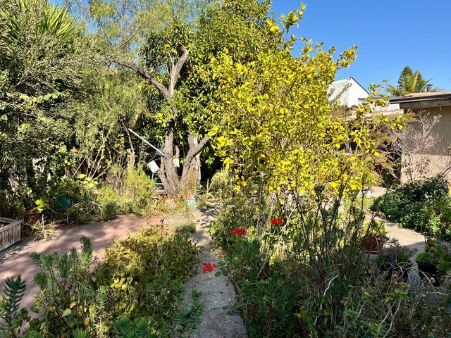 place photo 19