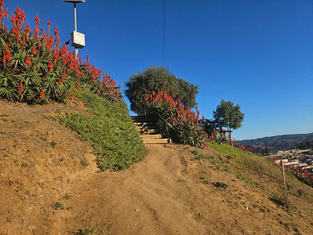 place photo 23