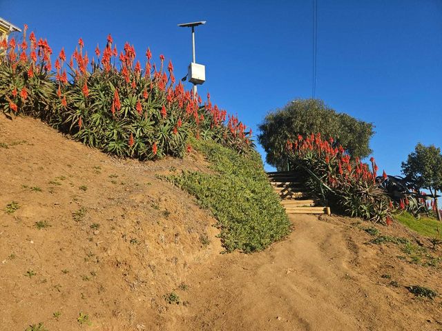 place photo 24