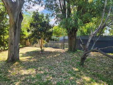 place photo 34