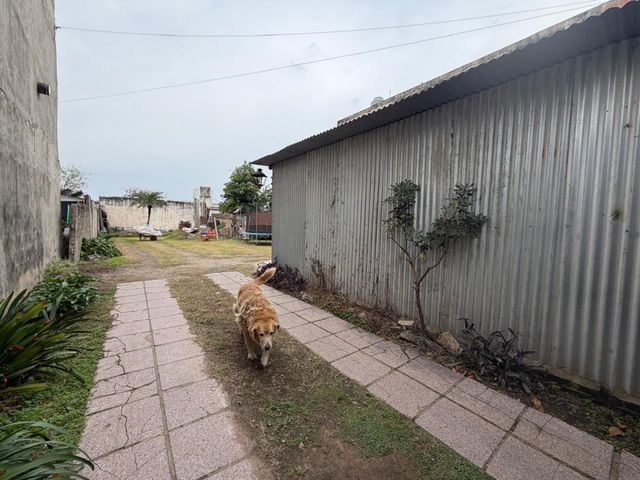 place photo 44