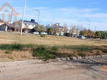 place photo 28
