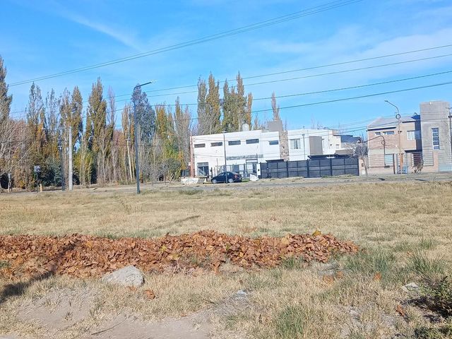 place photo 27