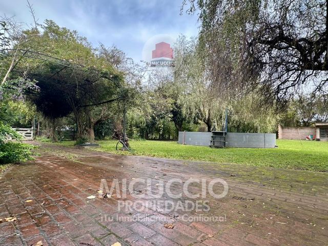 place photo 34