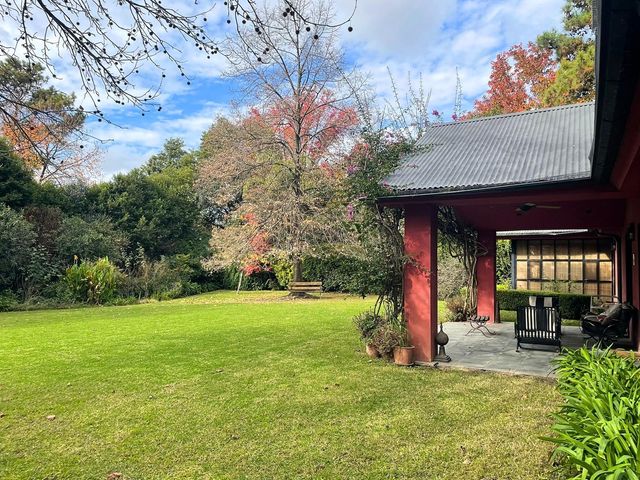 place photo 46