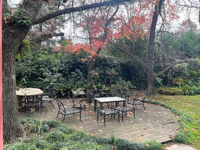 place photo 47