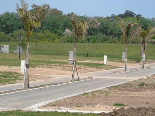 place photo 27