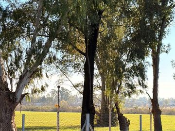place photo 38