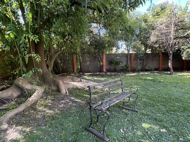 place photo 32
