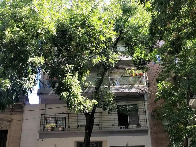 place photo 24