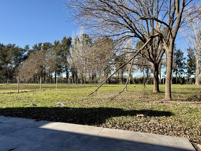 place photo 29